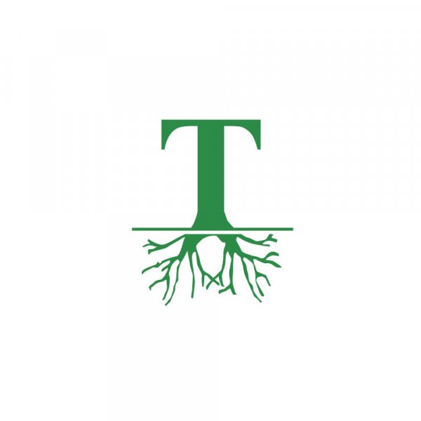 Markmontage med TreeSystem